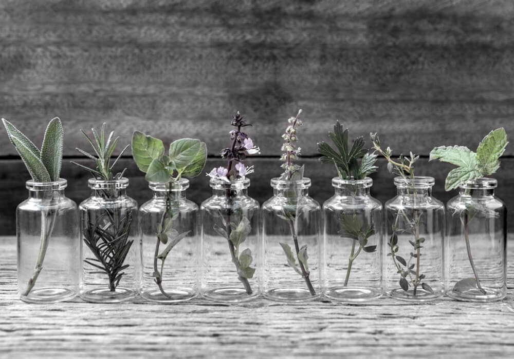 Aromatherapie | Die kraftvolle Welt der Düfte