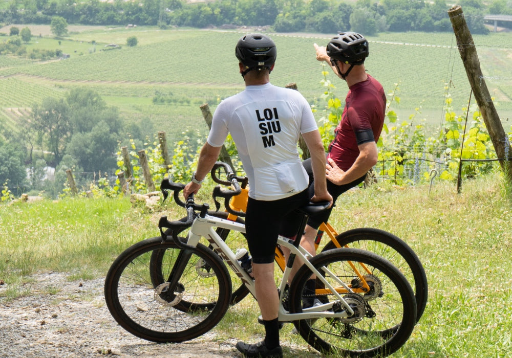 Entspannende Auszeit in der Weinlandschaft - LOISIUM Wine & Spa Hotel Langenlois