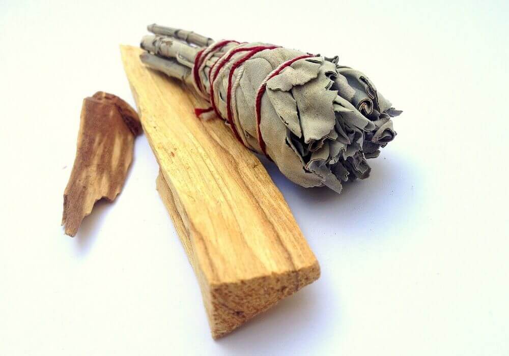 Palo Santo Hydrolat– Wirkweise und Anwendung