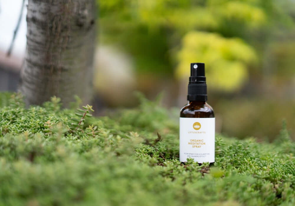 Aroma Yoga: Saint Charles x Lotuscrafts