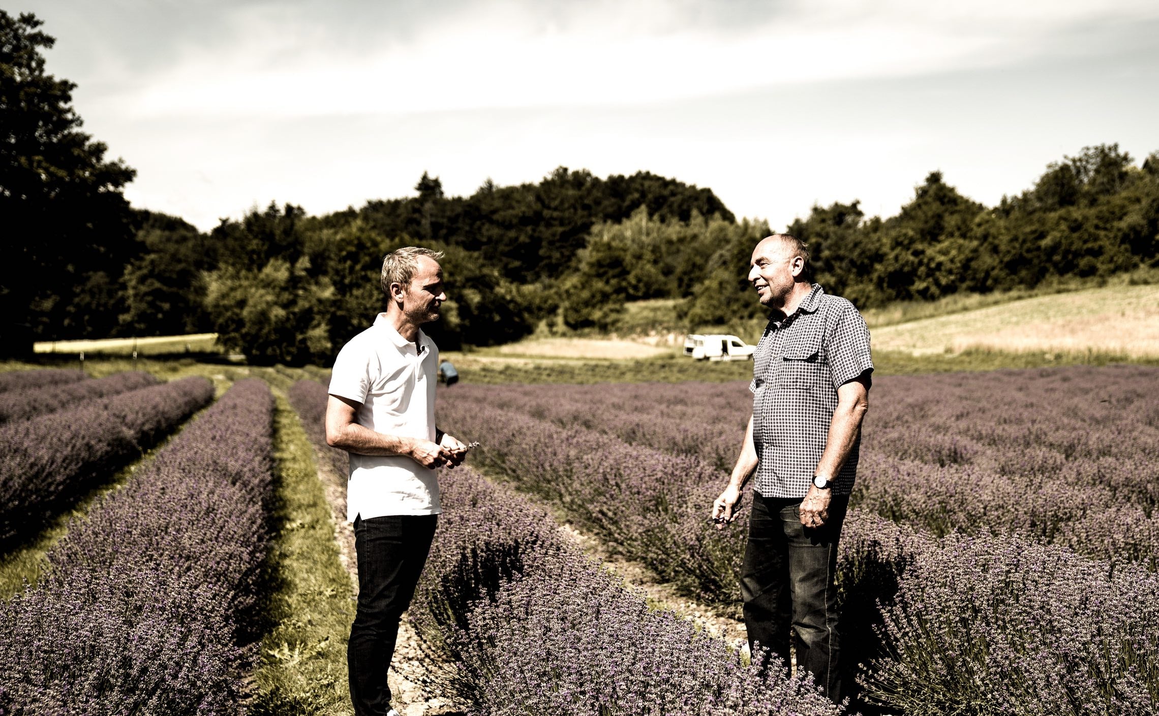 Lavendel – Regional & vielfältig einsetzbar