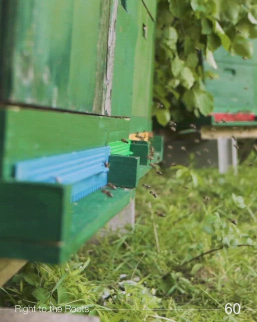 Video: Oxymel N°1 - Sauerhonig classic